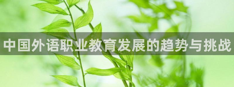 九游j9