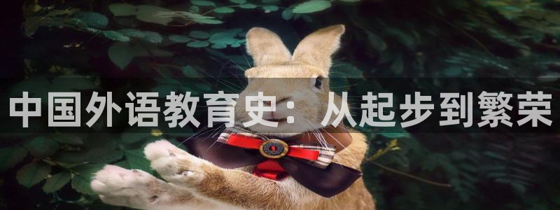j9九游会ag真人官网