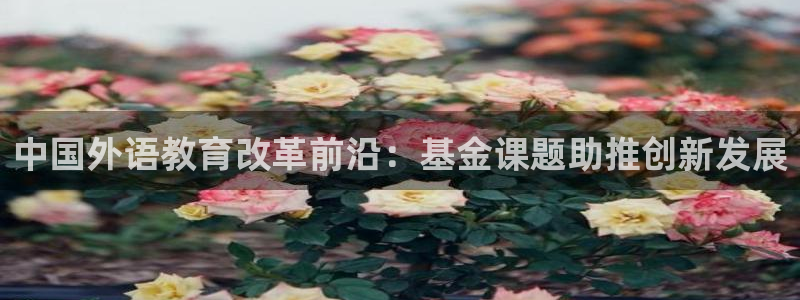 九游网址j9
