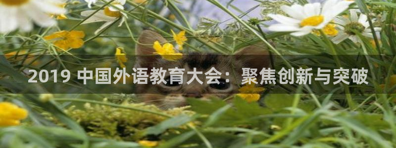 j9九游会体育